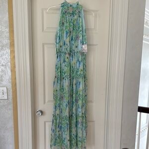 NWT Taylor Maxi Sleeveless Blue and Green Floral Dress Size 6